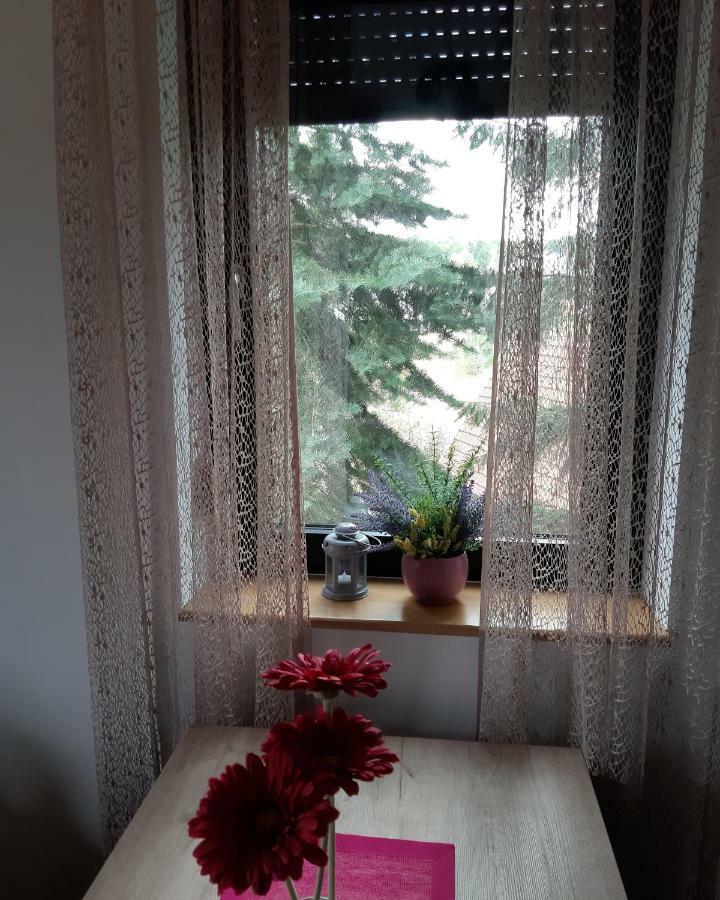 Apartman Nana Svetogorska 19 ,Stan 17 Златибор Экстерьер фото